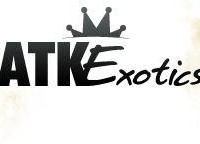 ATK Exotics Discount