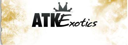 ATK Exotics Discount