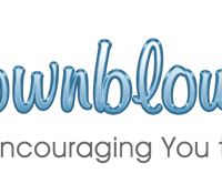 DownBlouse Jerk Discount