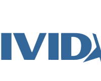 Vivid.com Discount